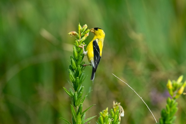 X-S10 - XF150-600mm F5.6-8 R LM OIS WR - 600.0 mm - 1/640 - 9.0 - 1600