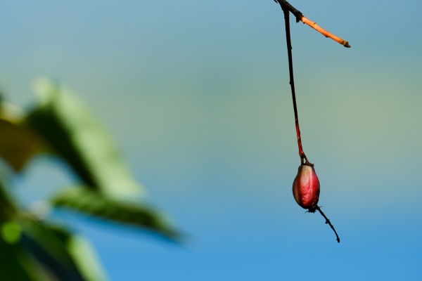 X-S10 - XF150-600mm F5.6-8 R LM OIS WR - 600.0 mm - 1/640 - 9.0 - 640