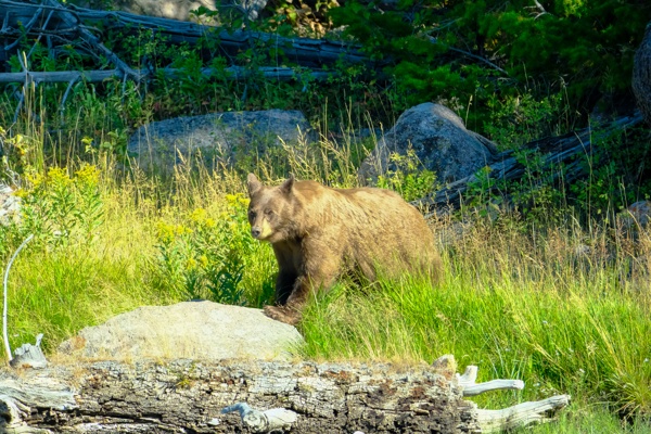 X-S10 - XF150-600mm F5.6-8 R LM OIS WR - 600.0 mm - 1/1600 - 8.0 - 5000