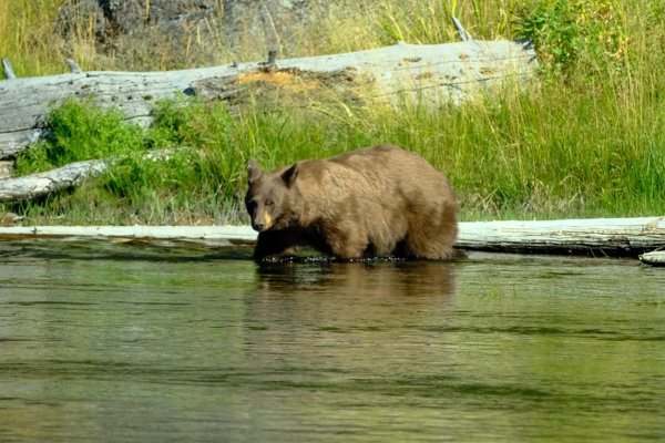 X-S10 - XF150-600mm F5.6-8 R LM OIS WR - 600.0 mm - 1/4000 - 8.0 - 5000