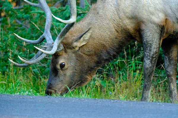 X-S10 - XF150-600mm F5.6-8 R LM OIS WR - 420.3 mm - 1/500 - 7.1 - 3200