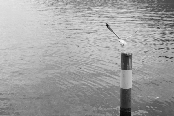 X-S10 - XF14mm F2.8 R - 14.0 mm - 1/500 - 5.6 - 640