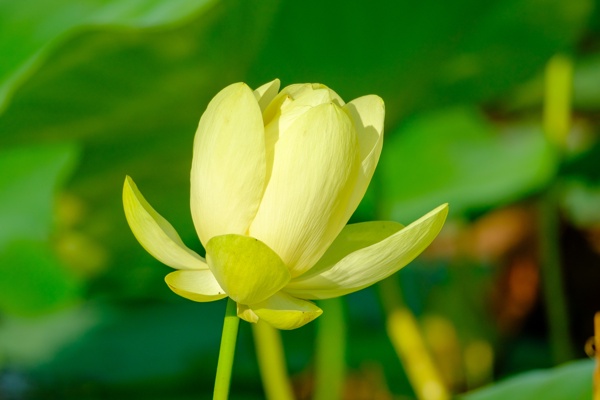 X-S10 - XF150-600mm F5.6-8 R LM OIS WR - 600.0 mm - 1/800 - 8.0 - 400