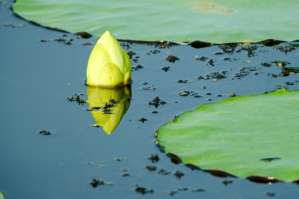 X-S10 - XF150-600mm F5.6-8 R LM OIS WR - 600.0 mm - 1/800 - 8.0 - 800