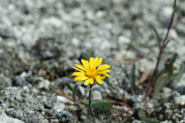 X-S10 - XF150-600mm F5.6-8 R LM OIS WR - 600.0 mm - 1/640 - 8.0 - 500