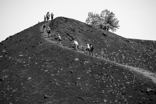 Landscapes