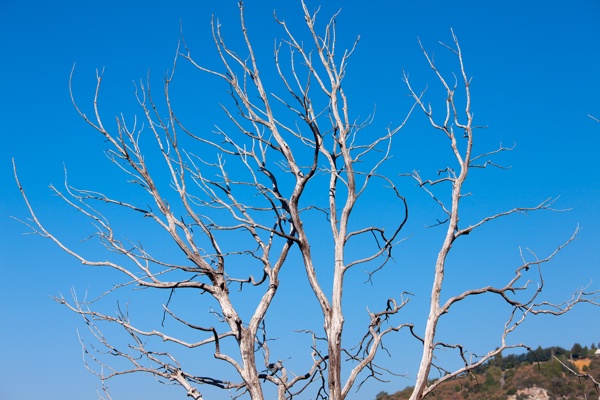 Canon EOS 5D Mark II - Canon EF 70-200mm f/4L IS USM - 93.0 mm - 1/400 - 8.0 - 50