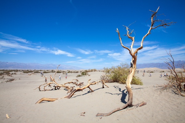 Canon EOS 5D Mark II - Canon EF 17-40mm f/4L USM - 17.0 mm - 1/320 - 11.0 - 100