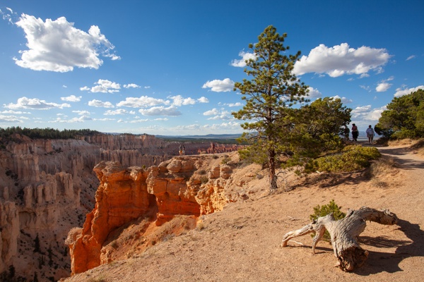 Canon EOS 5D Mark II - Canon EF 17-40mm f/4L USM - 21.0 mm - 1/200 - 10.0 - 100