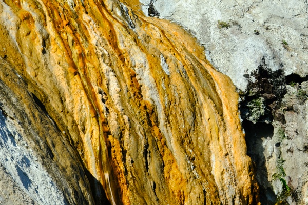 X-S10 - XF150-600mm F5.6-8 R LM OIS WR - 377.7 mm - 1/1000 - 7.1 - 320