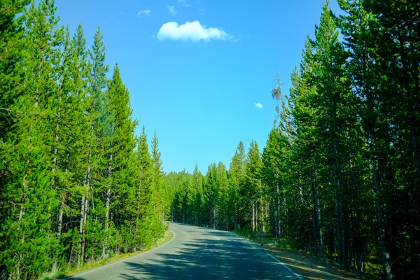 X-S10 - XF23mm F2 R WR - 23.0 mm - 1/2000 - 2.0 - 200