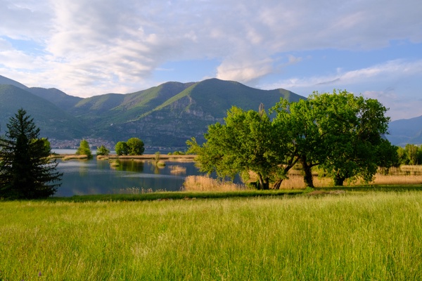 X-S10 - XF23mm F2 R WR - 23.0 mm - 1/640 - 8.0 - 640