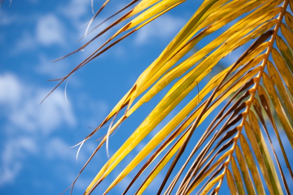 Canon EOS 5D - Canon EF 70-200mm f/4L IS USM - 70.0 mm - 1/350 - 4.0 - 100