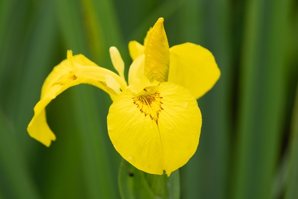 X-S10 - XF100-400mm F4.5-5.6 R LM OIS WR - 334.9 mm - 1/400 - 6.4 - 640