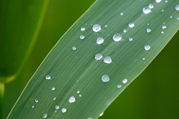 X-S10 - XF100-400mm F4.5-5.6 R LM OIS WR - 400.0 mm - 1/800 - 5.6 - 1600