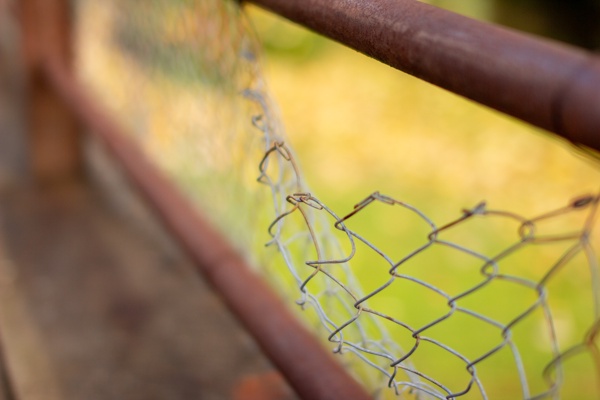 Canon EOS 60D - Sigma 50mm f/1.4 EX DG HSM - 50.0 mm - 1/1600 - 1.4 - 100