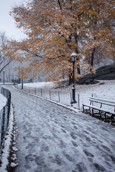 Canon EOS 5D Mark II - Canon EF 17-40mm f/4L USM - 35.0 mm - 1/50 - 5.0 - 100